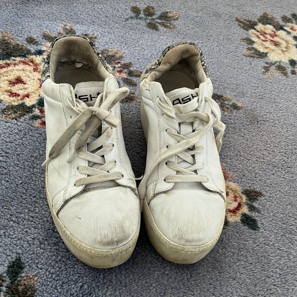 Ash sneakers size 36